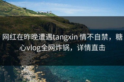 网红在昨晚遭遇tangxin 情不自禁，糖心vlog全网炸锅，详情直击