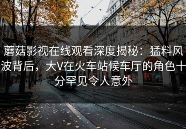 蘑菇影视在线观看深度揭秘：猛料风波背后，大V在火车站候车厅的角色十分罕见令人意外