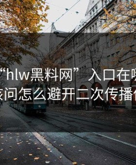 别再问“hlw黑料网”入口在哪了：你更该问怎么避开二次传播伤害