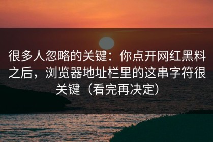 很多人忽略的关键：你点开网红黑料之后，浏览器地址栏里的这串字符很关键（看完再决定）