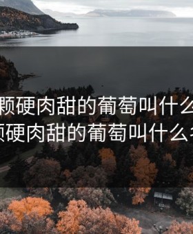 超级大颗硬肉甜的葡萄叫什么，超级大颗硬肉甜的葡萄叫什么名字