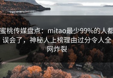 蜜桃传媒盘点：mitao最少99%的人都误会了，神秘人上榜理由过分令人全网炸裂