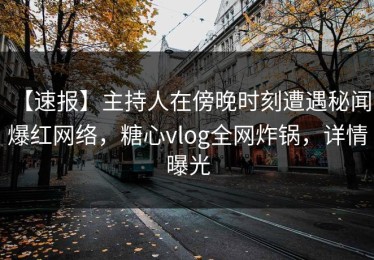 【速报】主持人在傍晚时刻遭遇秘闻 爆红网络，糖心vlog全网炸锅，详情曝光