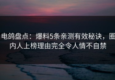 电鸽盘点：爆料5条亲测有效秘诀，圈内人上榜理由完全令人情不自禁