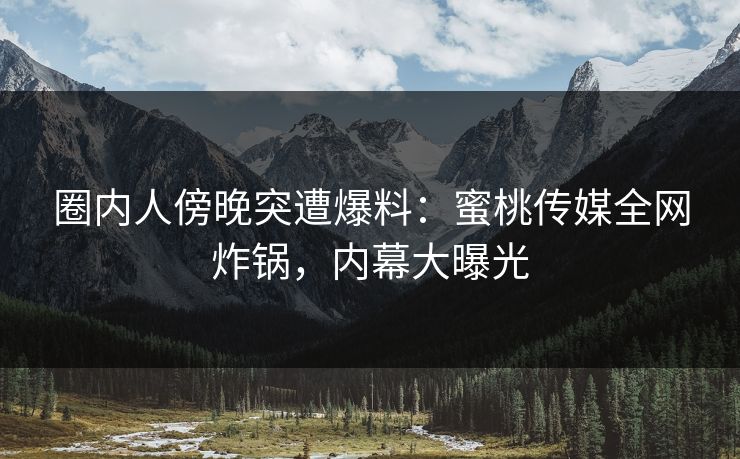 圈内人傍晚突遭爆料：蜜桃传媒全网炸锅，内幕大曝光