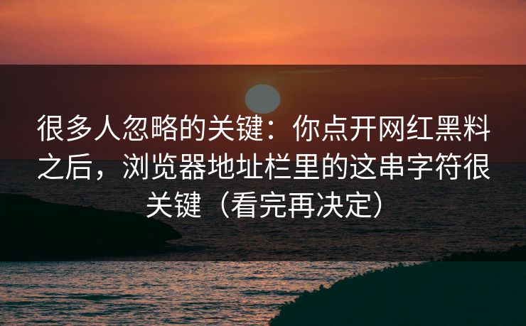 很多人忽略的关键：你点开网红黑料之后，浏览器地址栏里的这串字符很关键（看完再决定）