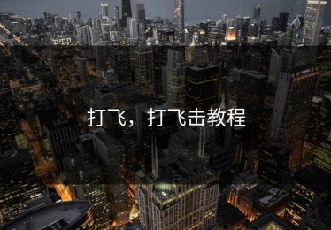 打飞，打飞击教程