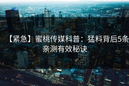 【紧急】蜜桃传媒科普：猛料背后5条亲测有效秘诀