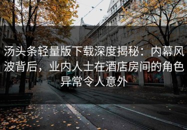 汤头条轻量版下载深度揭秘：内幕风波背后，业内人士在酒店房间的角色异常令人意外