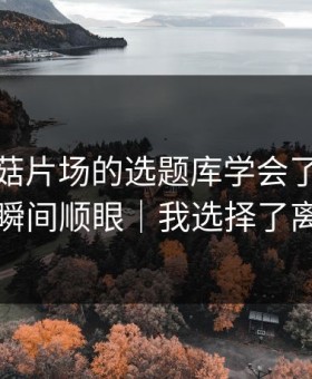我把蘑菇片场的选题库学会了：断舍离瞬间顺眼｜我选择了离开
