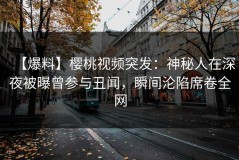 【爆料】樱桃视频突发：神秘人在深夜被曝曾参与丑闻，瞬间沦陷席卷全网