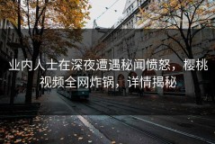 业内人士在深夜遭遇秘闻愤怒，樱桃视频全网炸锅，详情揭秘