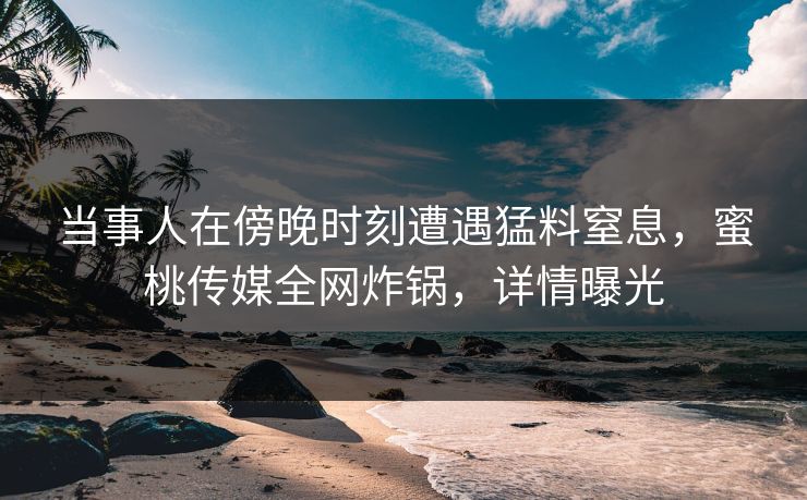 当事人在傍晚时刻遭遇猛料窒息，蜜桃传媒全网炸锅，详情曝光