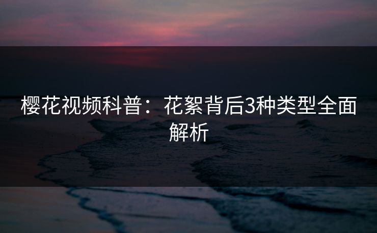 樱花视频科普：花絮背后3种类型全面解析