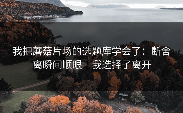 我把蘑菇片场的选题库学会了：断舍离瞬间顺眼｜我选择了离开